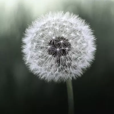 10月11日免费节点分享|18.9M/S，V2ray节点/Singbox节点/Clash节点/Shadowrocket节点|免费上网梯子每天更新
