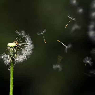 10月23日免费节点分享|19.7M/S，Shadowrocket节点/Clash节点/V2ray节点/Singbox节点|免费上网梯子每天更新